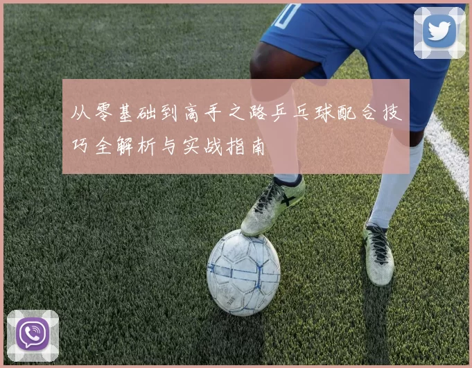 从零基础到高手之路乒乓球配合技巧全解析与实战指南