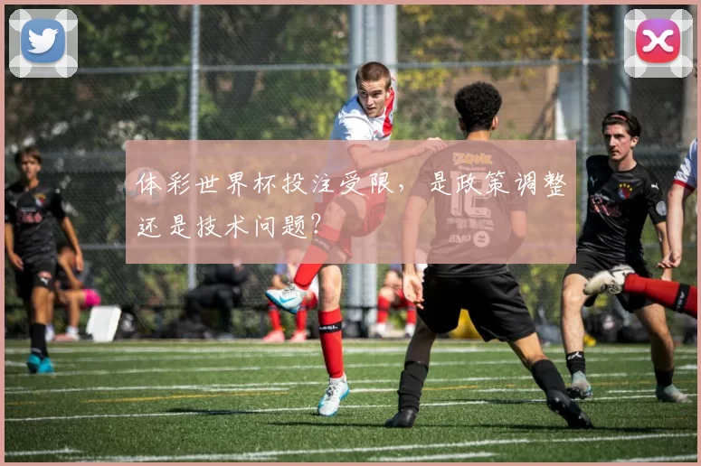 体彩世界杯投注受限,是政策调整还是技术问题?