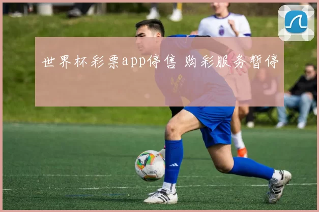 世界杯彩票app停售 购彩服务暂停