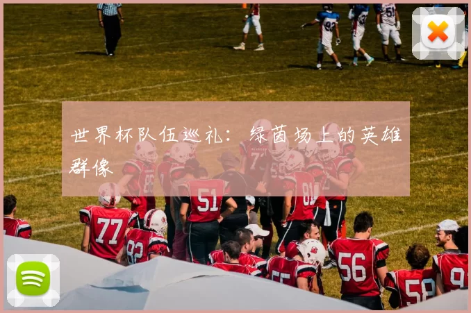 世界杯队伍巡礼:绿茵场上的英雄群像