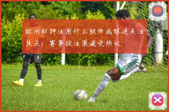 欧洲杯押注用什么软件成球迷关注焦点,赛事投注渠道受热议