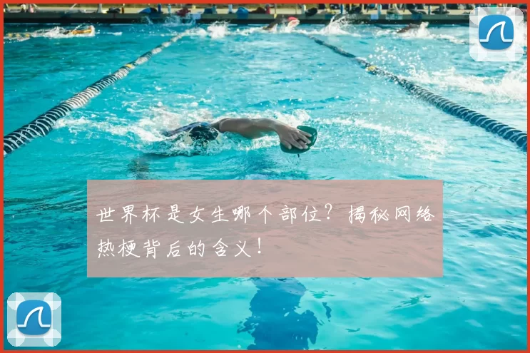 世界杯是女生哪个部位?揭秘网络热梗背后的含义!