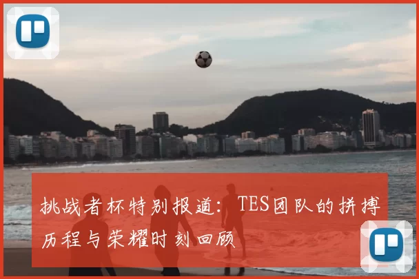 挑战者杯特别报道:TES团队的拼搏历程与荣耀时刻回顾