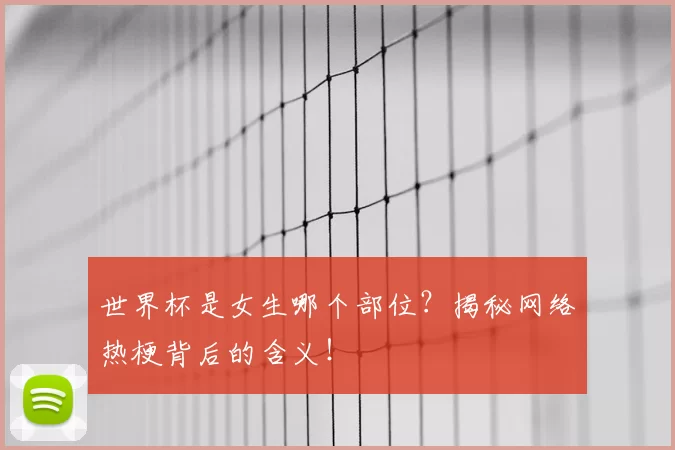 世界杯是女生哪个部位?揭秘网络热梗背后的含义!