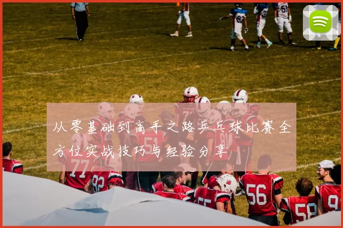 从零基础到高手之路乒乓球比赛全方位实战技巧与经验分享