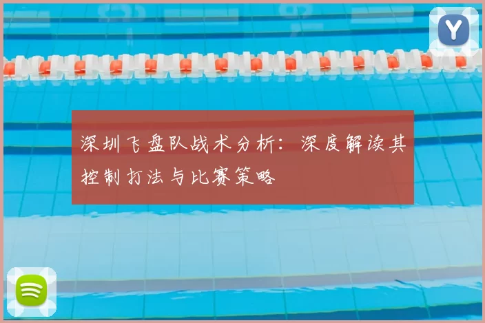 深圳飞盘队战术分析：深度解读其控制打法与比赛策略