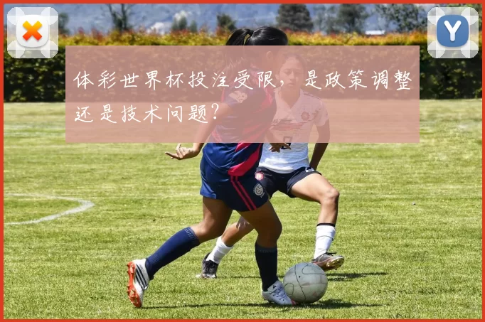 体彩世界杯投注受限,是政策调整还是技术问题?