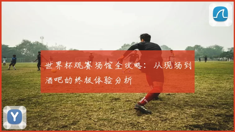世界杯观赛场馆全攻略：从现场到酒吧的终极体验分析