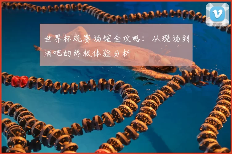 世界杯观赛场馆全攻略:从现场到酒吧的终极体验分析