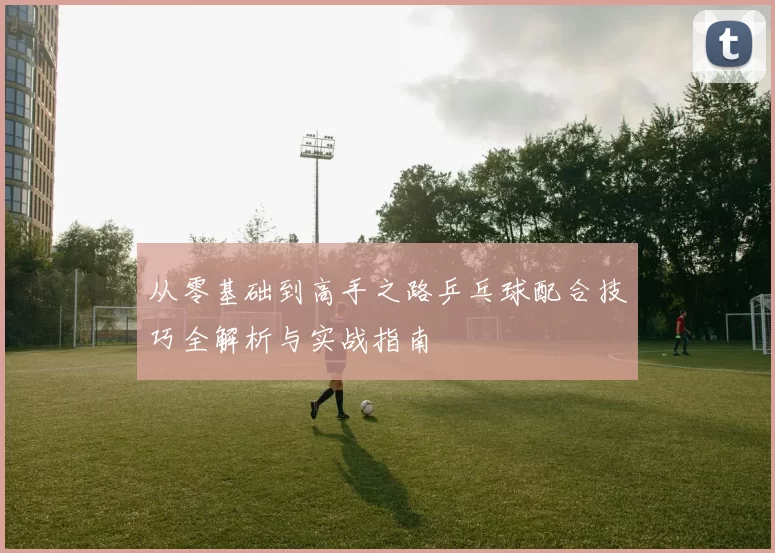 从零基础到高手之路乒乓球配合技巧全解析与实战指南