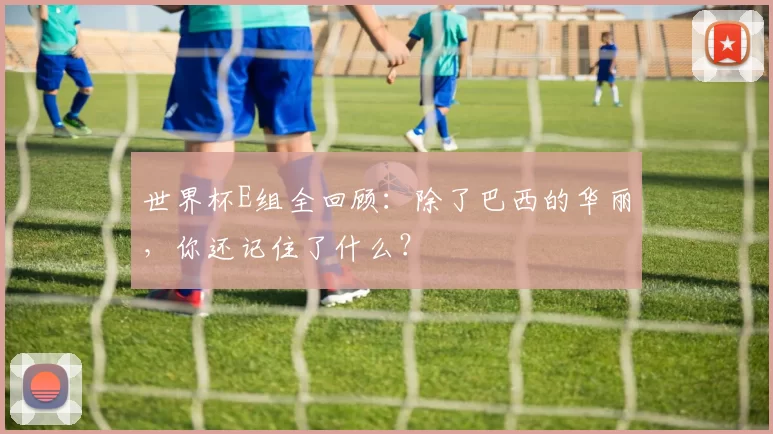 世界杯E组全回顾:除了巴西的华丽,你还记住了什么?