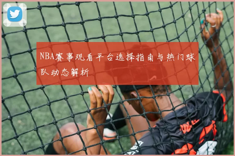 NBA赛事观看平台选择指南与热门球队动态解析